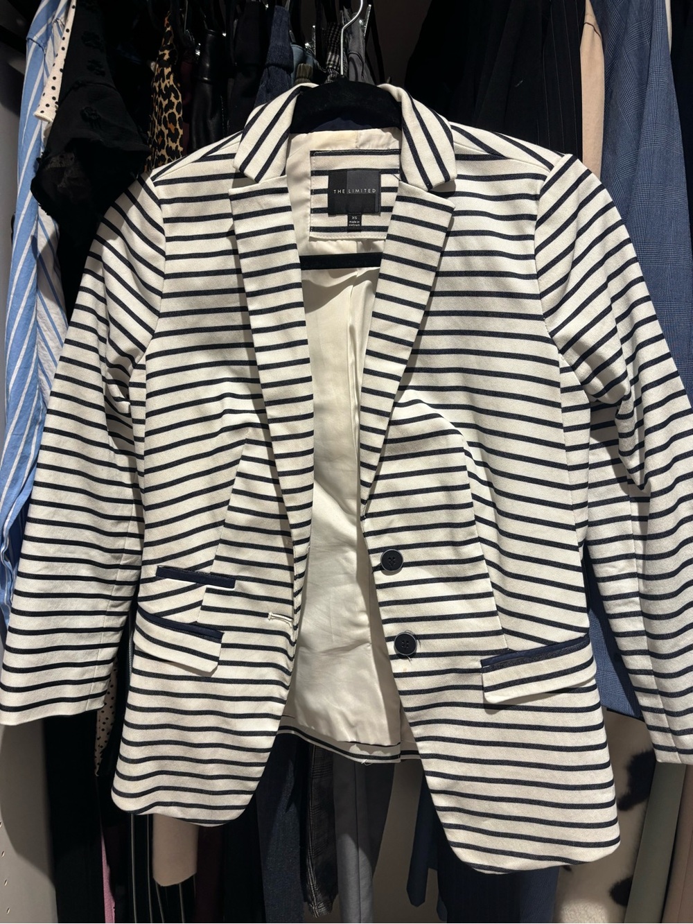 The Limited Striped Navy and White Tailored Blazer